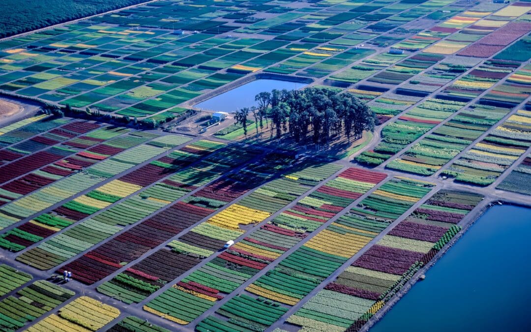 Amity, Oregon