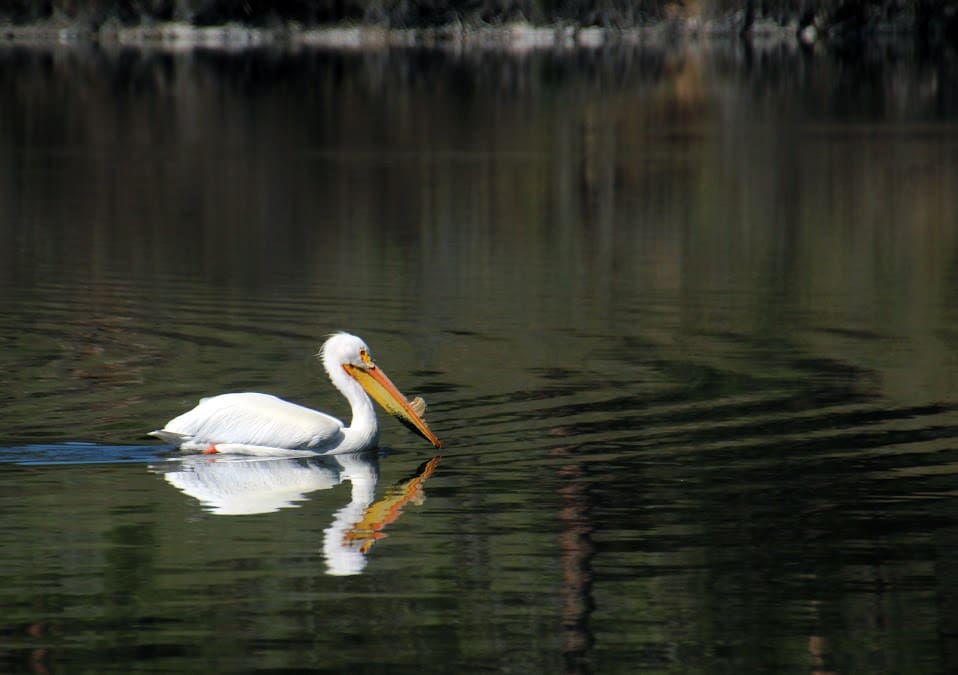 Klamath Falls, Oregon